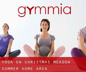 Yoga en Christmas Meadow Summer Home Area