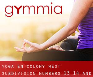 Yoga en Colony West Subdivision - Numbers 13, 14 and 15