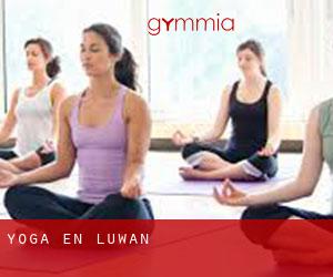 Yoga en Luwan