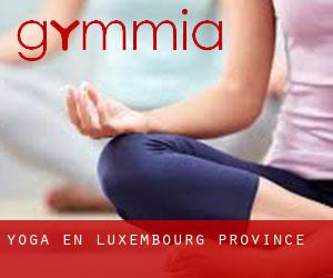 Yoga en Luxembourg Province