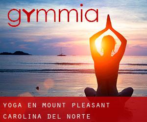 Yoga en Mount Pleasant (Carolina del Norte)