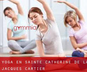 Yoga en Sainte Catherine de la Jacques Cartier