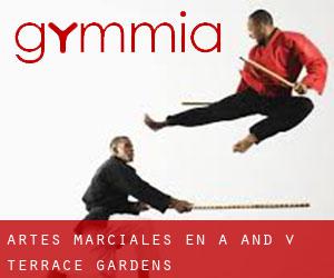 Artes marciales en A and V Terrace Gardens