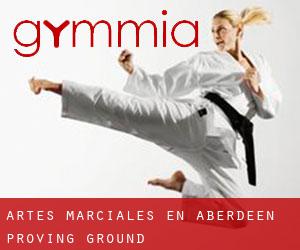 Artes marciales en Aberdeen Proving Ground