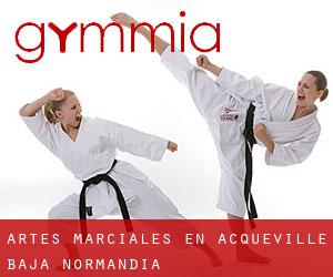 Artes marciales en Acqueville (Baja Normandía)