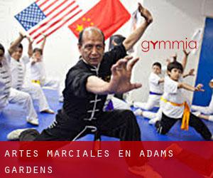 Artes marciales en Adams Gardens