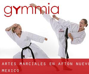 Artes marciales en Afton (Nuevo México)