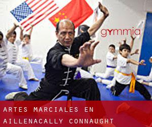 Artes marciales en Aillenacally (Connaught)