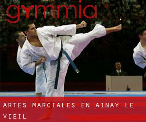 Artes marciales en Ainay-le-Vieil