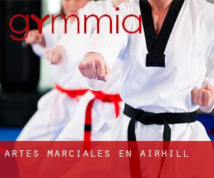 Artes marciales en Airhill