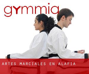 Artes marciales en Alafia