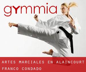 Artes marciales en Alaincourt (Franco Condado)
