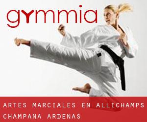 Artes marciales en Allichamps (Champaña-Ardenas)