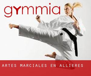 Artes marciales en Allières