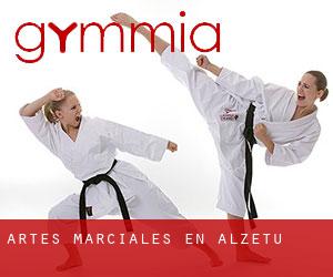Artes marciales en Alzetu