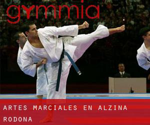 Artes marciales en Alzina Rodona