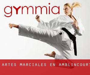 Artes marciales en Amblincourt