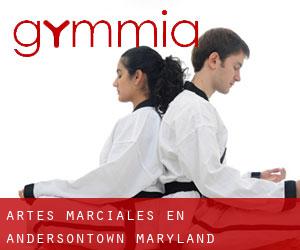 Artes marciales en Andersontown (Maryland)