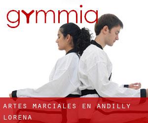 Artes marciales en Andilly (Lorena)