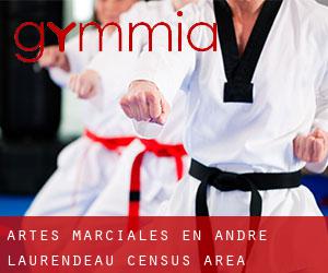 Artes marciales en André-Laurendeau (census area)