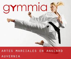 Artes marciales en Anglard (Auvernia)