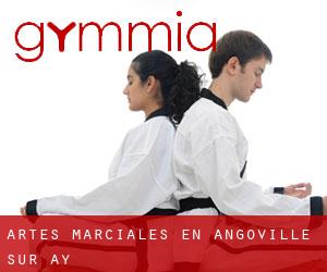 Artes marciales en Angoville-sur-Ay