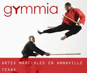 Artes marciales en Annaville (Texas)