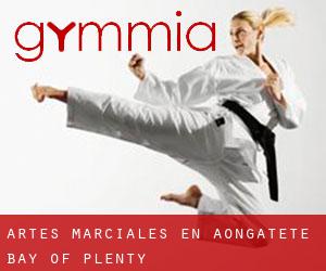 Artes marciales en Aongatete (Bay of Plenty)