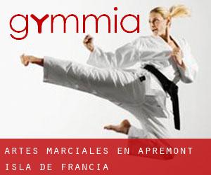 Artes marciales en Apremont (Isla de Francia)