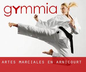 Artes marciales en Arnicourt