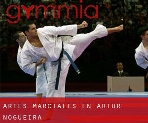 Artes marciales en Artur Nogueira