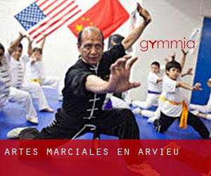 Artes marciales en Arvieu