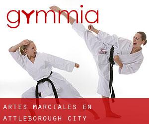 Artes marciales en Attleborough City