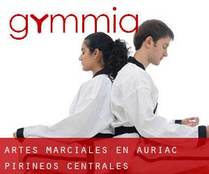 Artes marciales en Auriac (Pirineos Centrales)