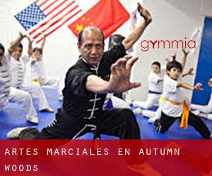 Artes marciales en Autumn Woods