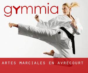 Artes marciales en Avrecourt