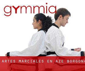 Artes marciales en Azé (Borgoña)