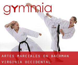 Artes marciales en Bachman (Virginia Occidental)
