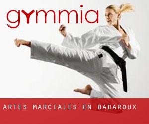 Artes marciales en Badaroux