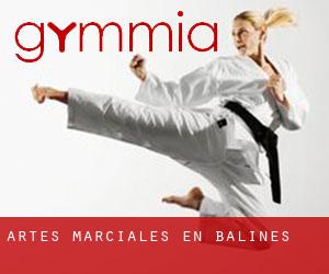 Artes marciales en Bâlines