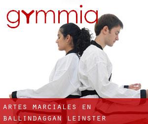 Artes marciales en Ballindaggan (Leinster)