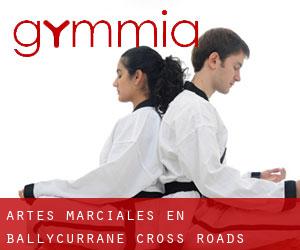 Artes marciales en Ballycurrane Cross Roads (Munster)