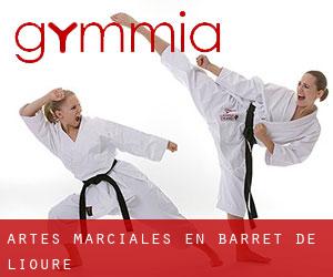 Artes marciales en Barret-de-Lioure
