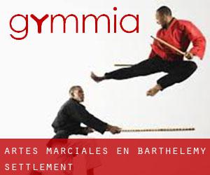 Artes marciales en Barthelemy Settlement