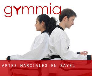 Artes marciales en Bayel