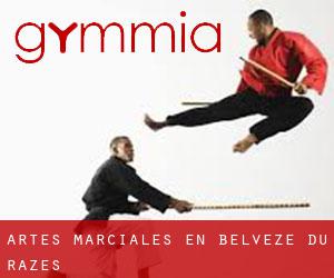Artes marciales en Belvèze-du-Razès