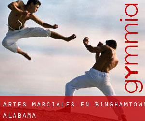 Artes marciales en Binghamtown (Alabama)