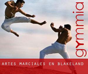 Artes marciales en Blakeland