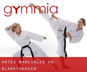 Artes marciales en Blankenhagen