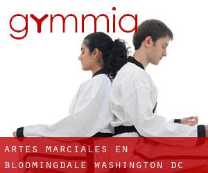 Artes marciales en Bloomingdale (Washington, D.C.)